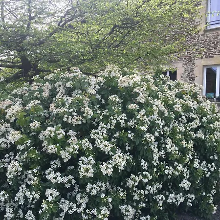 Pensión La Longre Cerisy-la-Foret