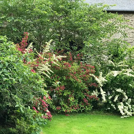 La Longre Cerisy-la-Foret