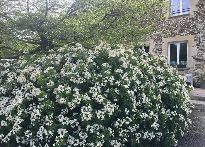 Maison d'hôtes La Longre Cerisy-la-Foret