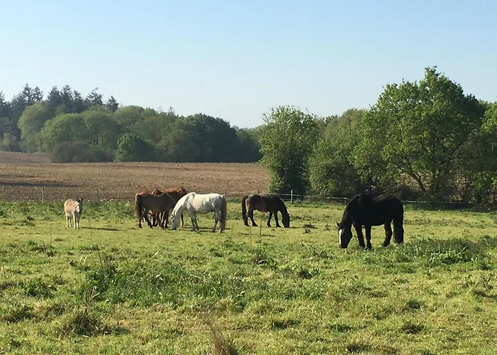 게스트하우스 La Longre *