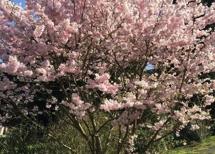 게스트하우스 La Longre